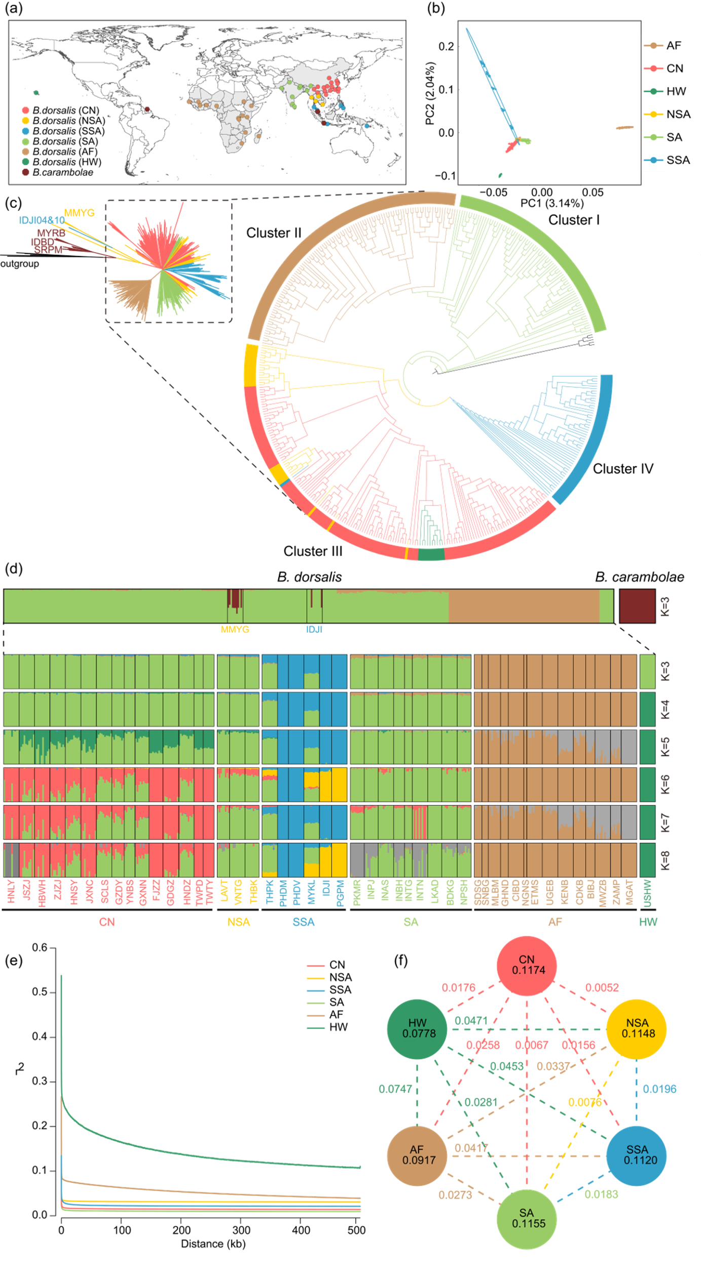 Fig.2